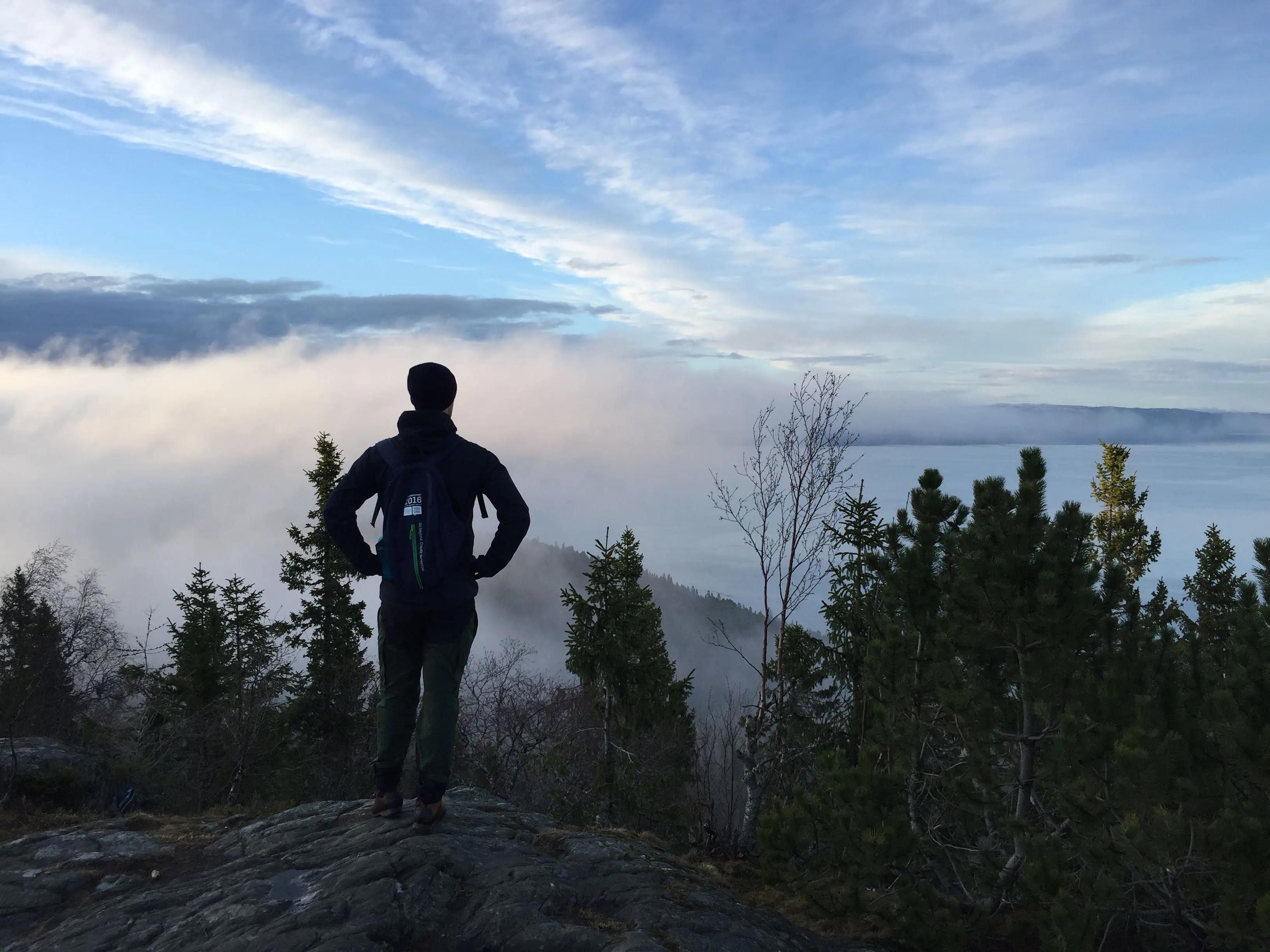 Programmer above the sea of fog
